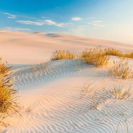 Beautiful In With Sauna * Nowecin