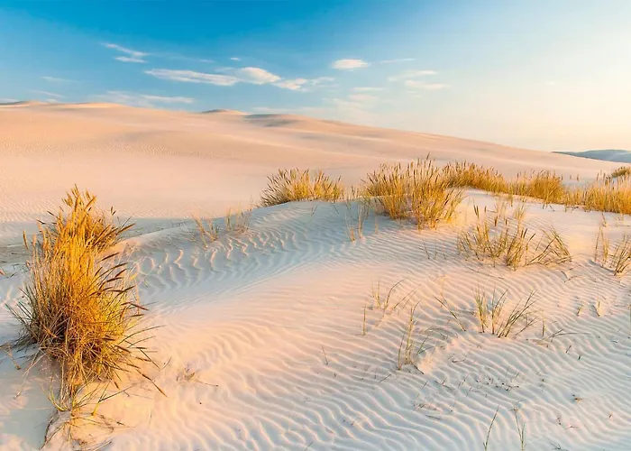 Beautiful In With Sauna * Nowecin